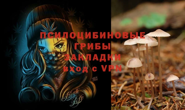 спайс Абинск